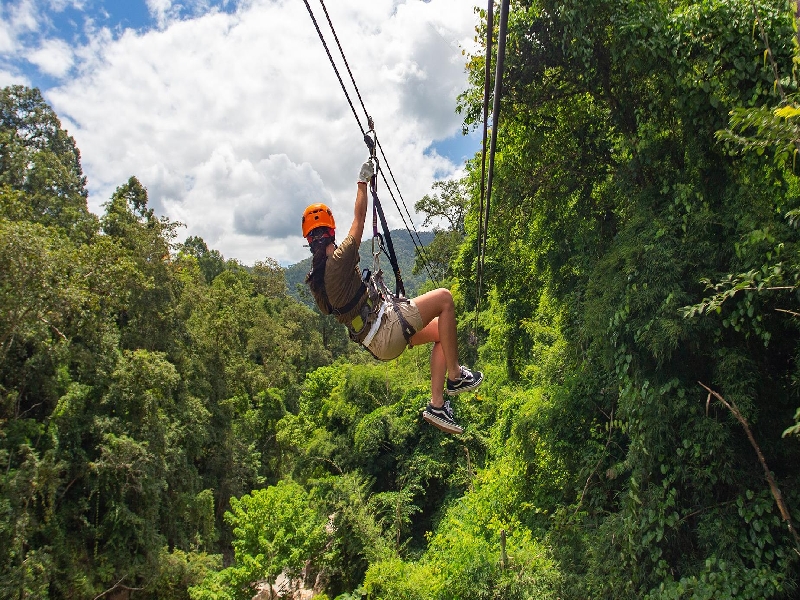 SPPDZIPLINE-3_800x485
